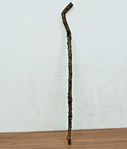Blackthorn shank walking stick - shank,