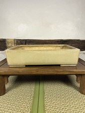 Aiba Koyo Bonsai Pot Cream