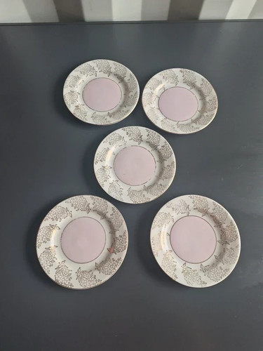 Phoenix bone china plates - 5,