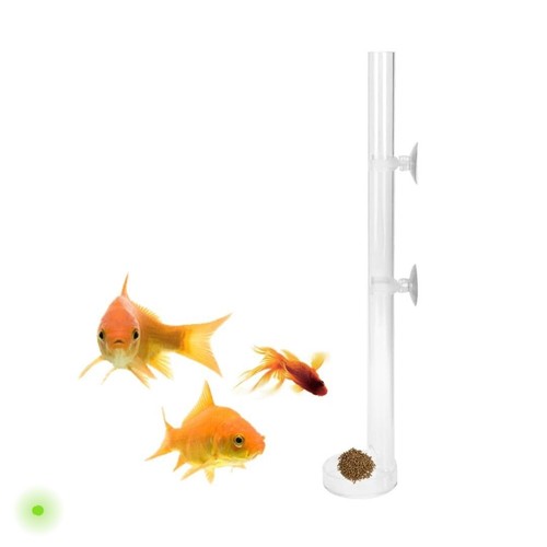Fish feeding tube - feeding,