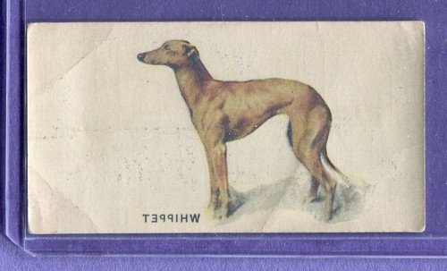 1931 john player - 1931,