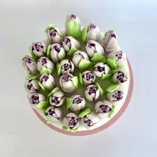20 edible tulips Sugar Cake