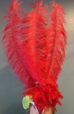 Dance Costumes Show Girl Headdresses ( Price is each headdress)