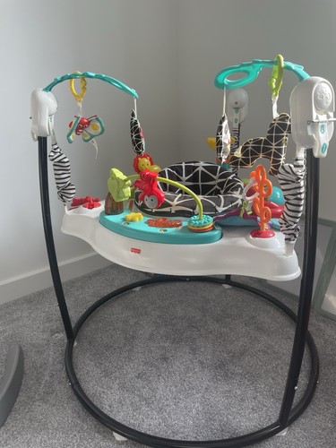 Fisher price jumperoo animal