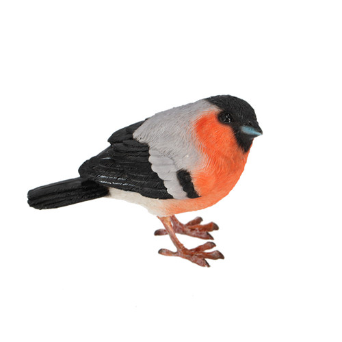 Bullfinch bird lifelike - bullfinch,