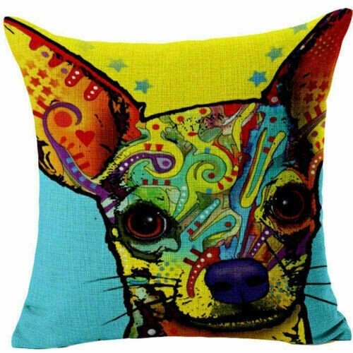 Chihuahua dog bright pop - dog,