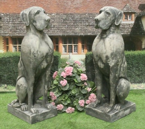 Pair great dane - pair, of