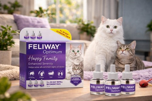 Feliway optimum day - optimum, refill