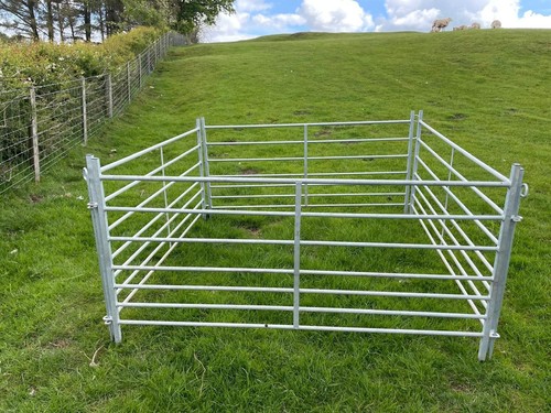 Foot galvanised sheep - 6-foot,