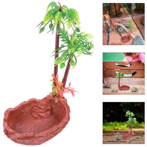 Reptile bowl for water - for,
