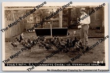 Chicken Breed Advertising RPPC