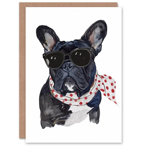 French bulldog wearing - french,
