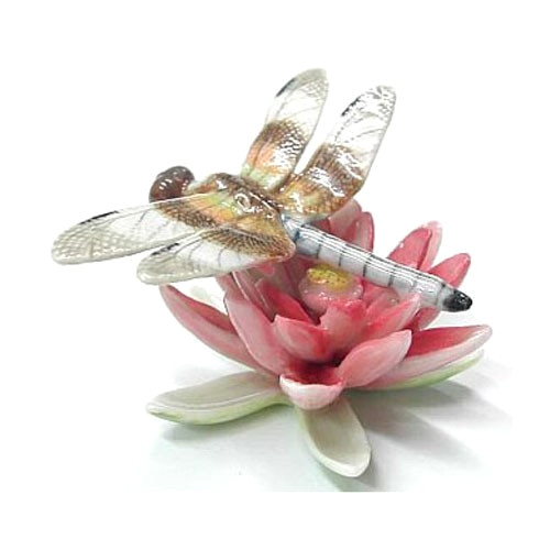ღ new northern rose - northern,