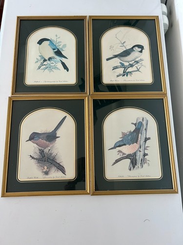 Vintage framed david - vintage,