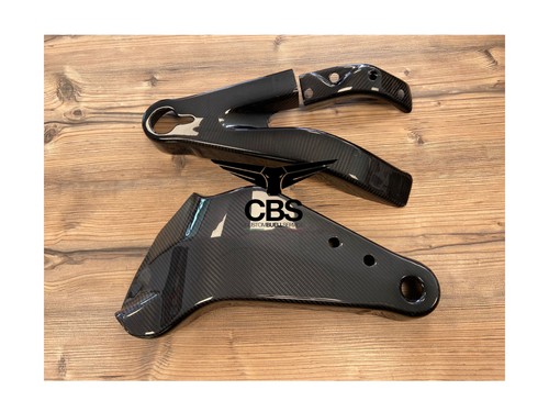 Carbon fiber swingarm cover - fiber,