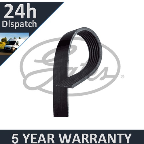 Gates ribbed belts - v-ribbed, for