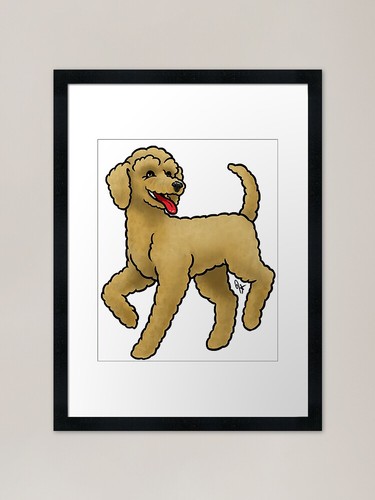 Dog standard poodle puppy - -,