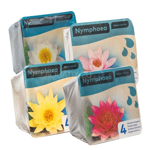 Prepacked water lily - water,