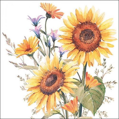 Single paper napkins - napkins, for
