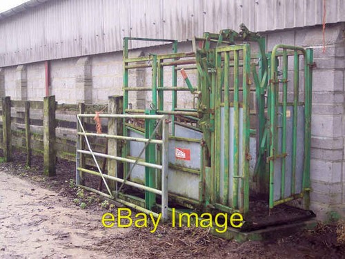 Photo 6x4 cattle crush - 6x4, stoke