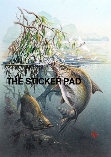 Vinyl sticker bream coarse - bream,