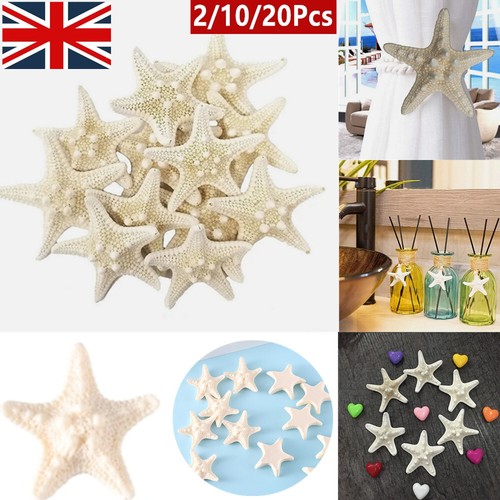 20pcs small starfish - small,