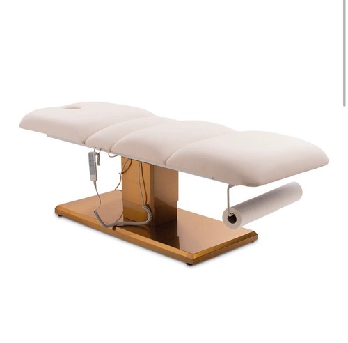 Luxury electric salon bed - salon,