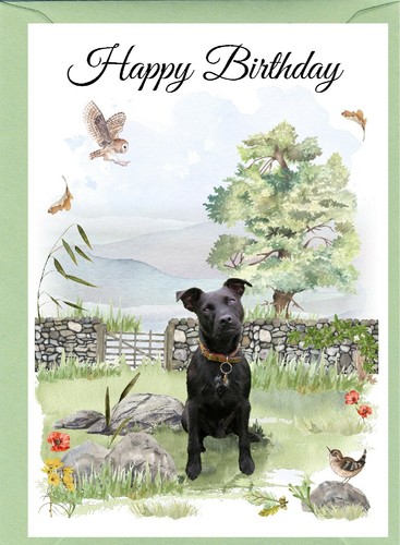Patterdale terrier dog x - terrier, (4"x