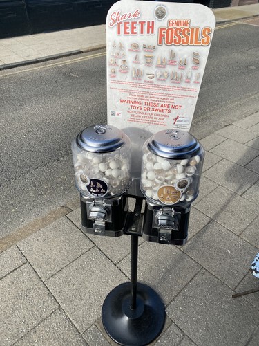 Double beaver vending machine - beaver,