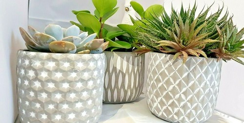 Set concrete pots - of, indoor
