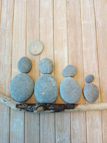 Small flat beach pebbles - small,