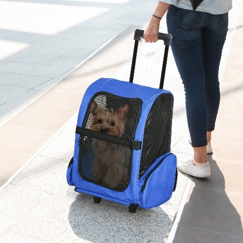 Cat puppy dog carrier - dog,