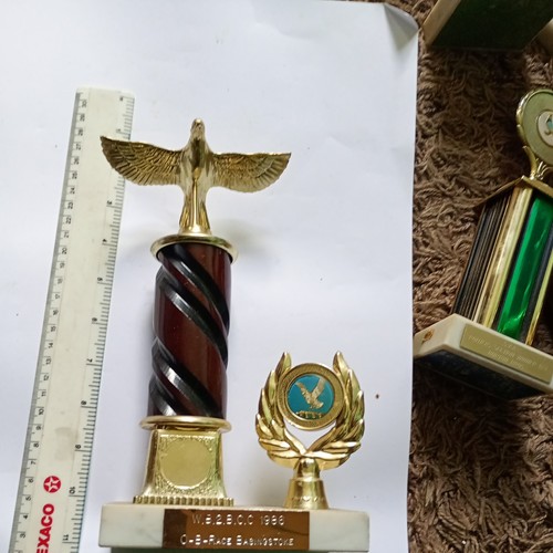 Pigeon racing trophy - pigeon,