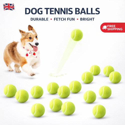 Pack dog tennis - 12,