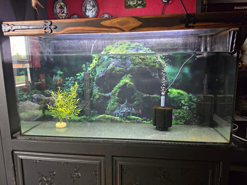 Large aquarium full setup - large,