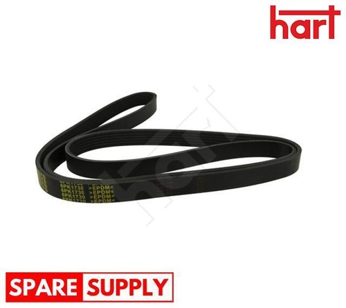 Ribbed belt for crafter - vw,
