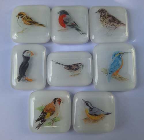 Fused glass birds fridge - fused,