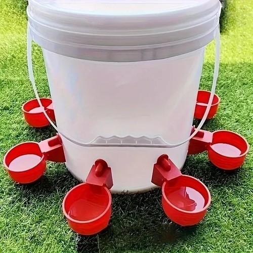 Automatic chicken waterer - chicken,