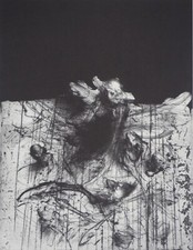 Nut: Tormented surface