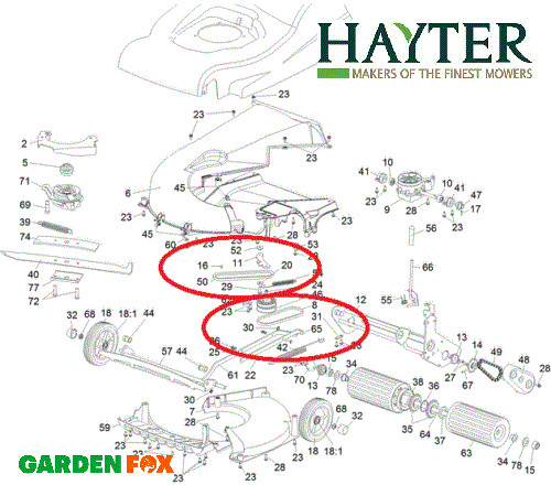 Genuine hayter harrier - genuine,
