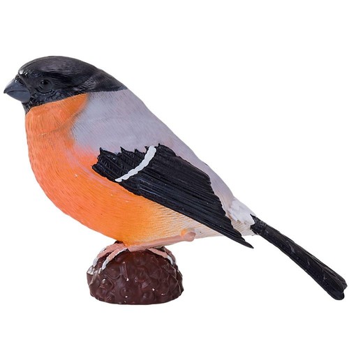 Bullfinch approx height - approx, cm