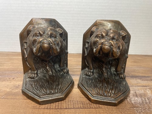 Antique english bulldog - antique,