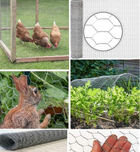 Galvanised chicken wire - wire, mesh