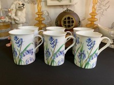 Set of 6 x STECHCOL Bluebell