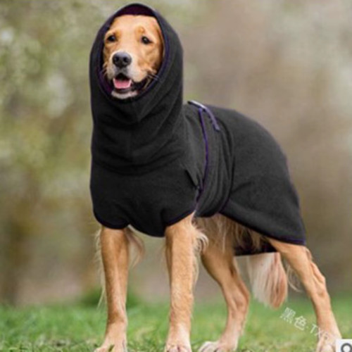 Generic dog winter - generic,
