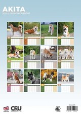 Akita Dog 2026 A3 Calendar