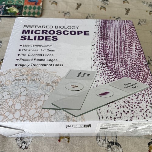 100pcs biology glass - 100pcs,