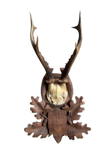 Roe deer trophy 194 black - trophy,
