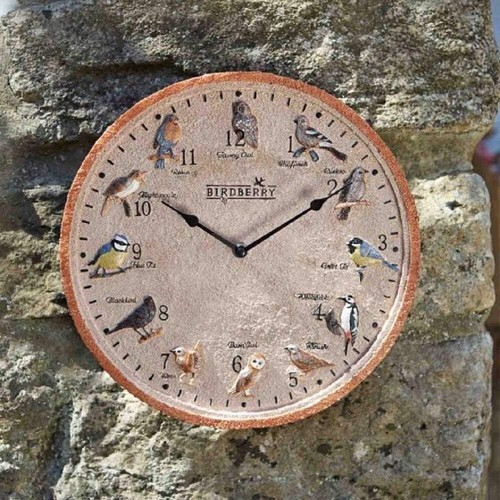 Bird wall clock garden 30cm - wall,