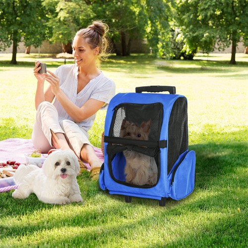 Pet travel backpack - travel,